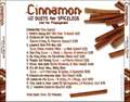 U2-Cinnamon-Back.jpg