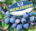 U2-Huckleberry-Inlay.jpg