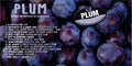 U2-Plum-Front.jpg