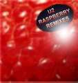 U2-Raspberry-Front.jpg